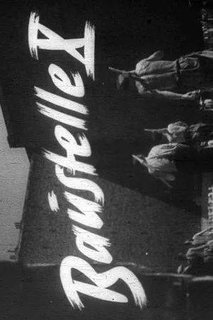 Постер: Baustelle X