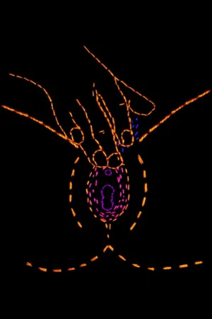 Постер: Touch