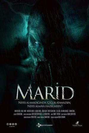 Постер: Marid