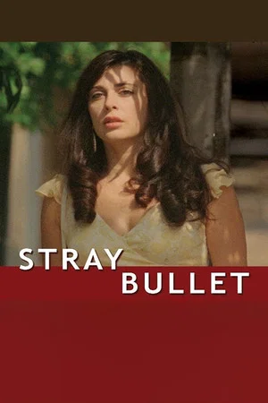 Постер: Stray Bullet