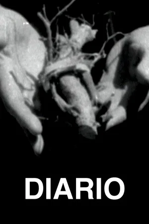 Постер: Diario