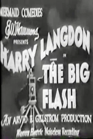 Постер: The Big Flash