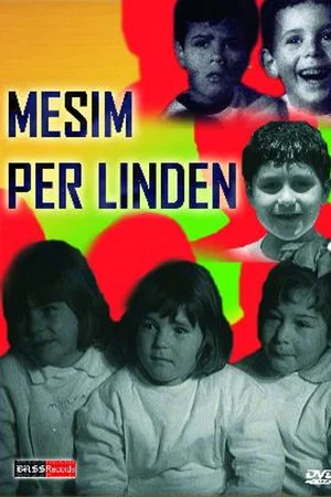 Постер: Lesson for Linda