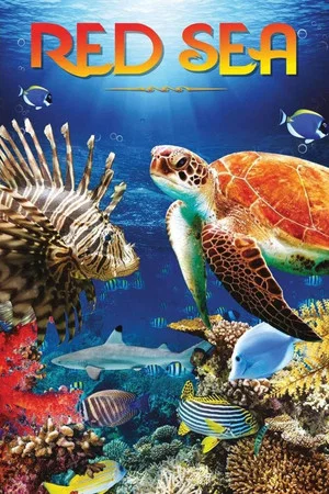 Постер: Red Sea