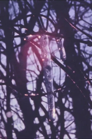 Постер: Winter Fence