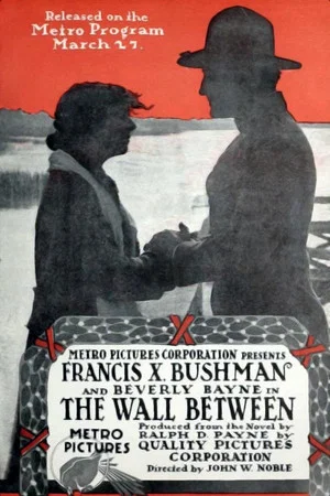 Постер: The Wall Between