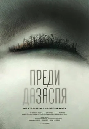 Постер: Before I Go to Sleep