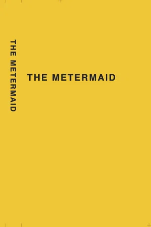 Постер: THE METERMAID
