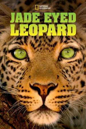 Постер: Jade Eyed Leopard