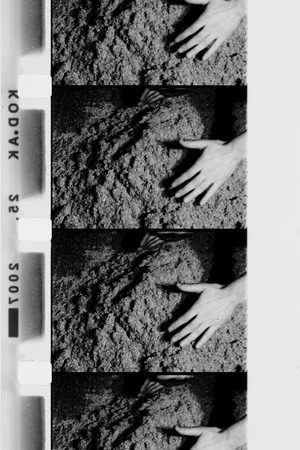 Постер: Hands Scraping