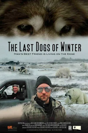Постер: The Last Dogs of Winter
