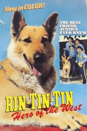 Постер: Rin-Tin-Tin: Hero of the West