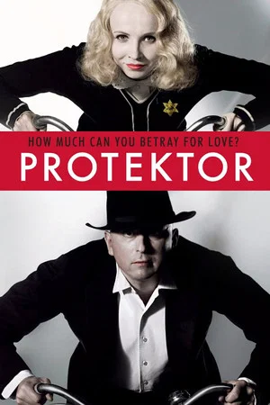Постер: The Protector
