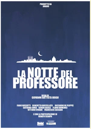 Постер: The professor's night