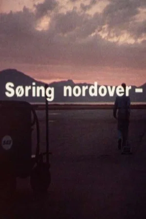 Постер: These Bright Northern Nights