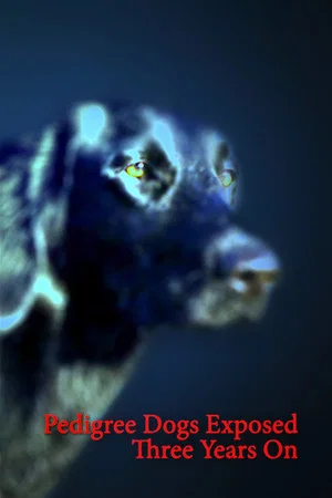 Постер: Pedigree Dogs Exposed: Three Years On