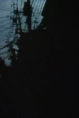 Постер: Incorrect Intermittence