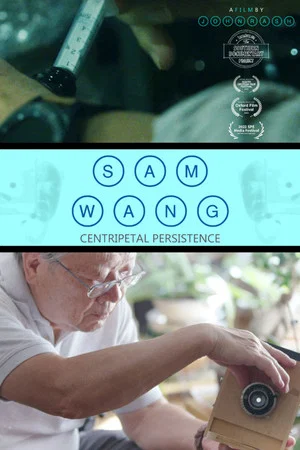 Постер: Sam Wang: Centripetal Persistence