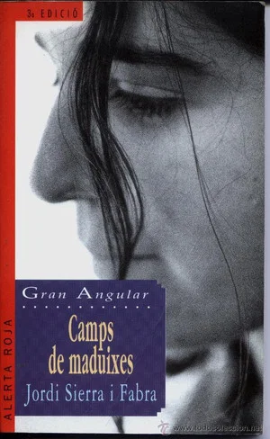 Постер: Camps de maduixes