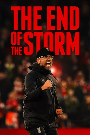 Постер: The End of the Storm