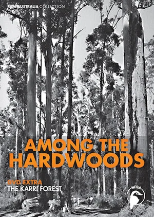 Постер: Among the Hardwoods