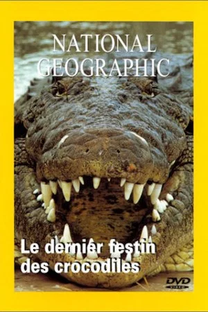 Постер: The Last Feast of the Crocodiles