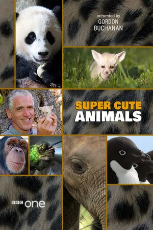 Постер: Super Cute Animals