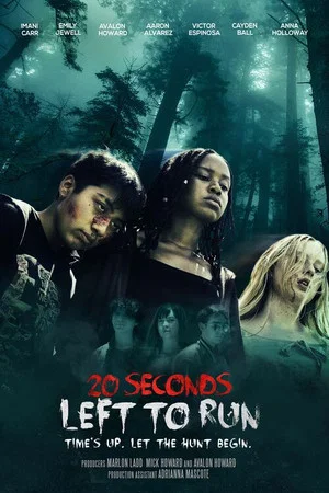 Постер: 20 Seconds Left to Run