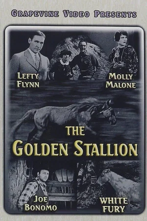 Постер: The Golden Stallion