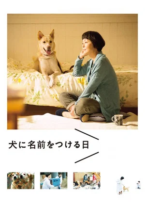 Постер: Dogs Without Names
