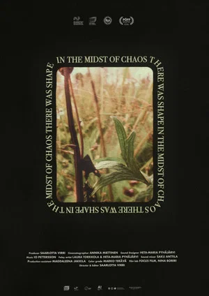 Постер: In the Midst of Chaos There Was Shape