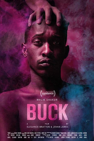 Постер: Buck