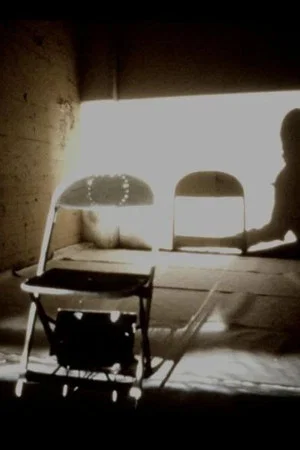 Постер: Shadow and Chair