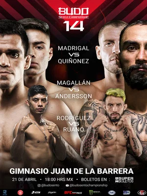 Постер: Budo Sento Championship 14