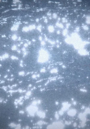 Постер: Microcosmos