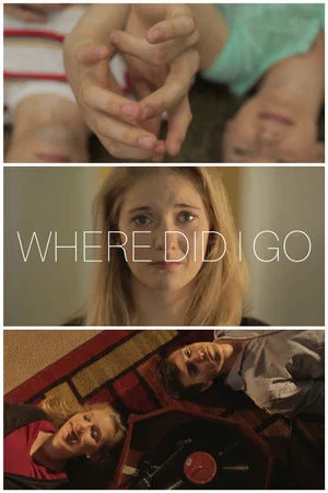 Постер: Where Did I Go