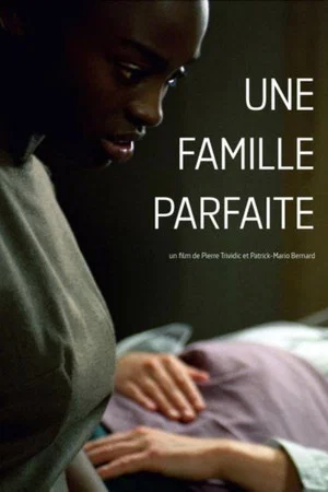 Постер: Une famille parfaite