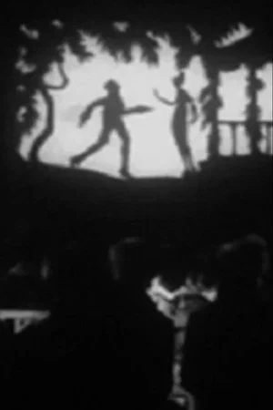 Постер: The Lost Shadow