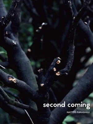 Постер: Second coming
