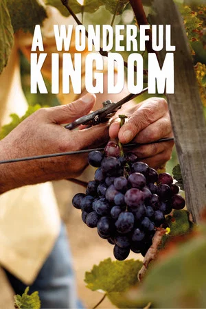 Постер: A Wonderful Kingdom