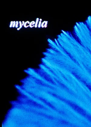 Постер: mycelia