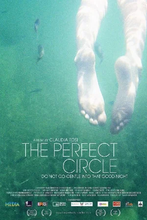 Постер: The Perfect Circle