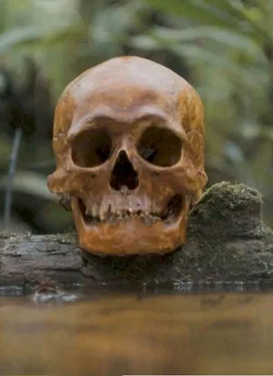 Постер: A Skull