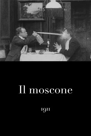 Постер: Il moscone