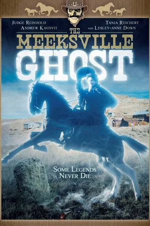 Постер: The Meeksville Ghost