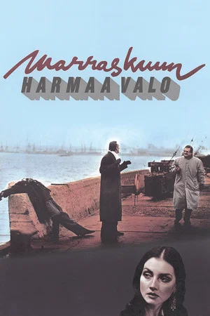 Постер: Marraskuun harmaa valo