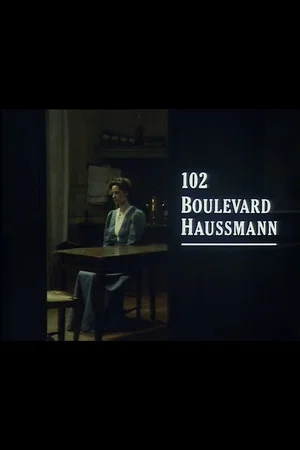 Постер: 102 Boulevard Haussmann