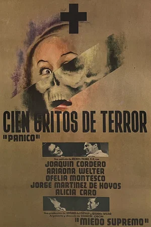 Постер: 100 Cries of Terror