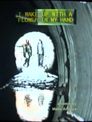 Постер: I Wake Up With a Flower in My Hand