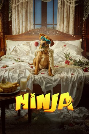 Постер: Ninja